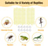 GUSUCIN Set 2 Pack Hermit Crab Climbing Wall Mesh Ladder Climbing Toy for Hermit Crabs, Gecko, Spider and Reptile Pets