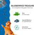 Shameless Pets Soft-Baked Dog Treats, Blueberried Treasure - Natural Chews with Mint for Immune Support