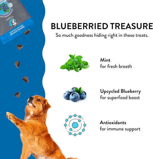 Shameless Pets Soft-Baked Dog Treats, Blueberried Treasure - Natural & Healthy Dog Chews with Mint for Immune Support - Dog Biscuits Baked & Made in USA, Free from Grain, Corn & Soy - 1-Pack