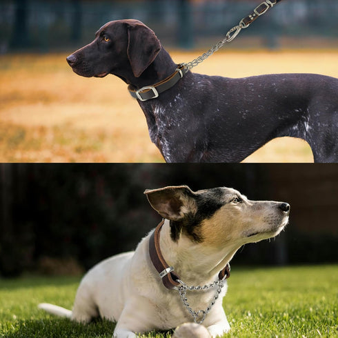 Leather Martingale Dog Collar, Adjustable for Medium Large Dogs, Soft Genuine Cowhide with Stainless Steel Chain (L,