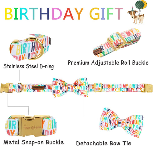 Unique Style Paws Birthday Dog Collar, Soft Cute Bow Tie, Durable Adjustable Collar for Medium Dogs