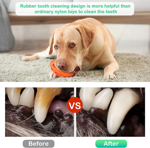 2 Pack Squeaky Dog Toys - Durable Rubber Indestructible Tough Ball for Aggressive Chewers, Large Medium Small