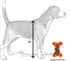 Dog Diggin Designs Runway Pup Collection | Unique Squeaky Plush Toys – Prêt-à-Porter Dog Bones, Balls & More