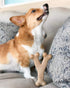 SPOT Bam-Bones Wishbone Dog Chew - Made with Strong Bamboo Fiber, 7in, Chicken Flavor for Light to Moderate Chewers