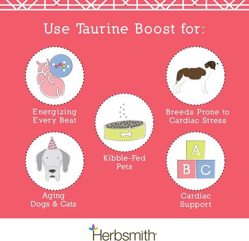 Herbsmith Taurine Boost Supplement for Dogs and Cats - Cardiac Support with CoQ10, Taurine, L-Carnitine - 75g