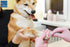 Dog Nail Filer - Professional Grooming Tool for Smoothing Pet Nails, Best for Small/Large Dogs & Cats (3 Set)