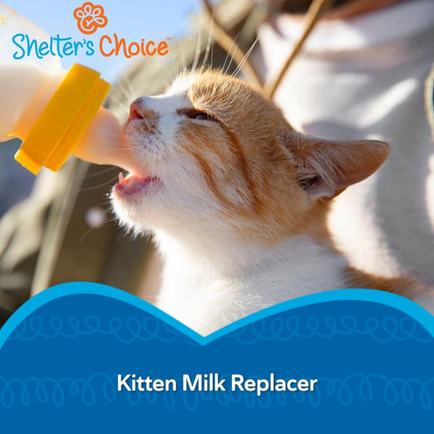 1 lb Revival Animal Health Shelters Choice Kitten Milk Replacer Powder, Complete and Balanced Milk Formula for Kittens