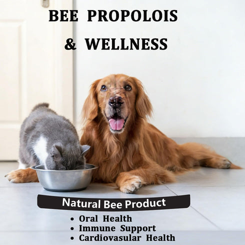 Pleasantly Warm Immune 90 Bee Propolis for Dogs & Cats, Daily System Support, Oral Care, Gum Health Supplement, Soft