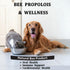Pleasantly Warm Immune 90 Bee Propolis for Dogs & Cats, Daily System Support, Oral Care, Gum Health Supplement, Soft