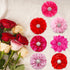 20pcs Pink Rose Red Pet Dog Collar Attachment Flower Bows, Slide Small Dog Collar Bowties for Holiday Grooming