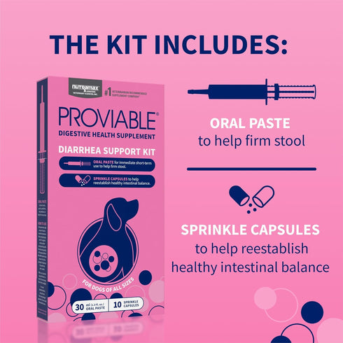 30 ml 10 Nutramax Proviable Probiotics for Dogs, Diarrhea Support Kit, Digestive Health Supplement with Multiple