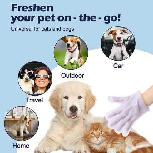 Pet Glove Wipes for Dogs - Coconut Scented Cleaning Gloves, Dual-Sided Grooming for Cats, 6 Count for Daily Care and