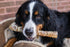 12 7 Pack, Top Dog Chews Roasted Beef Trachea Dog Chews American, All Natural, Single Ingredient Dog Treat, Promotes