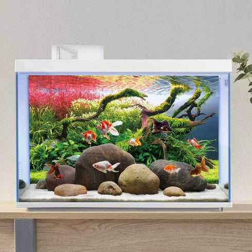 AWERT 48x18 inches Branches Fish Tank Background, Stone Seaweed Aquarium Background Vinyl.