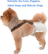 TESSVEYA Dog Diaper Suspenders for Male or Female - Leopard Print & Light Green, S