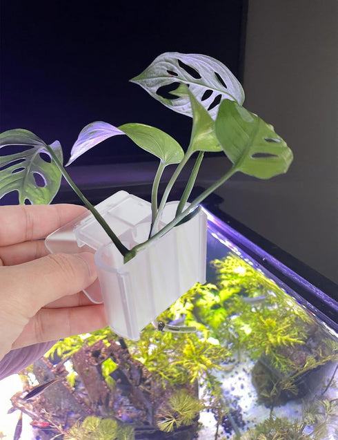 joqepy 4 3-Hole Pk Upgraded Aquarium Plant Holder, Hanging Aquarium Plant Holder with Clip, Suitable for Fish Tank