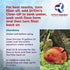 Dr.Tim’s Aquatics Freshwater Clear-UP Natural Water Clarifier, Eco-Friendly Solution for Fish Tanks, 8 Oz.