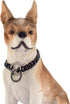 Dog Chain Collar Black Color High Polished Stainless Steel Cuban Link Heavy Duty Chew Proof Walking Chain Leash