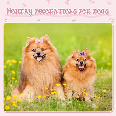 20 Pcs Dog Hair Bows for Small Dogs, Cute Grooming Bows with Rubber Bands
