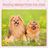 20 Pcs Dog Hair Bows for Small Dogs, Cute Grooming Bows with Rubber Bands
