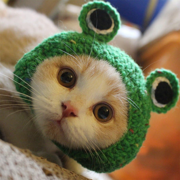 Pet Hat - Handmade Knitted Woolen Yarn Cap for Dog Cat Puppy Teddy Cartoon Frog Grooming Accessories, Green, S