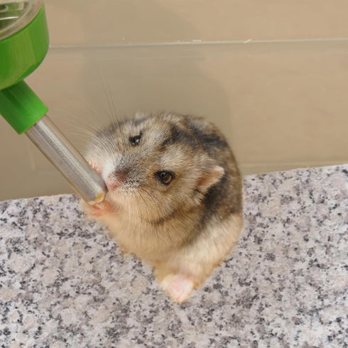 Mipcase Rabbit Cooling Pad, Small Cooling Pad for Hamster and Rabbits in Summer
