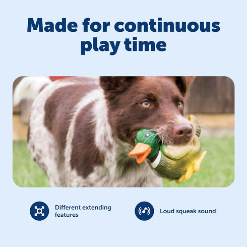 PetSafe Busy Buddy Duck Squeeze Meeze - Fun Latex Dog Toy with Squeaker