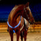 SSZYace Adjustable LED Horse Breastplate Collar, Nylon Night Flashing Light Bar Harness with 3 Modes (Blue)