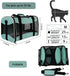 Soft-Sided Cat Carrying Case, Airline Approved Pet Travel Carrier for Medium Cats and Small Dogs (17x11x11 Green)
