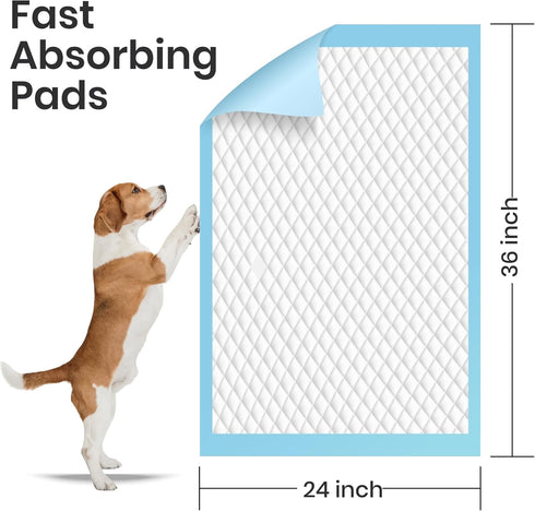 25 Count 24x36 Inch FPN Puppy Pads for Dogs | Extra Large Disposable Pee Pads for Dogs & Puppies | Dog Training Pads
