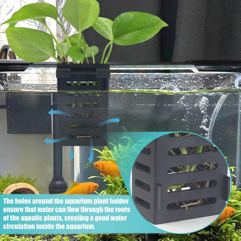 2 Pcs Fish Tank Plant Holder with Hooks and Suction Cups, Suitable for Aquatic Plant Cultivation and Decoration