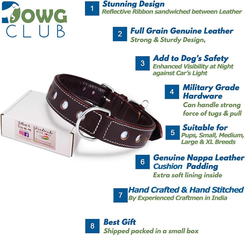 Reflective Genuine Leather Dog Collar, Stellar Series, Soft Padding, Handmade, Safe for Night Walking, XL (Fit Neck