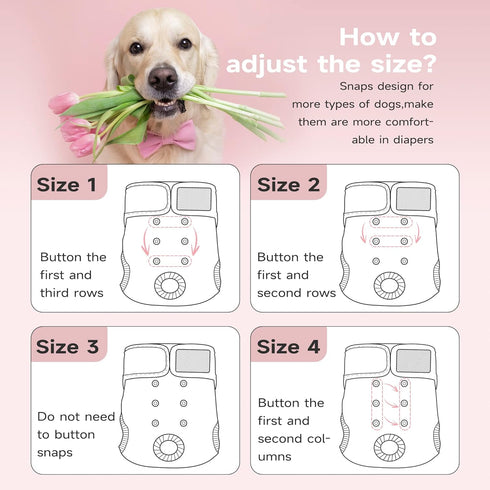 (3 Pack,X-Small) Paw Legend Washable Reusable Female Dog Period Diapers for Heat Doggie Puppy Diapers for Female Dogs