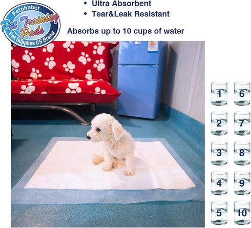 Petphabet Puppy Pads, XXL-Large 34" x 28", Ultra Absorbent All Day Premium Dog Pads, 42 Count