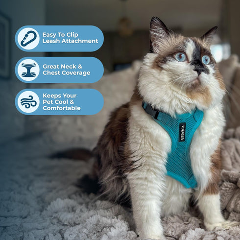 Best Pet Supplies Voyager Step-in Lock Adjustable Cat Harness with Leash Combo Set, Turquoise, XXS, 5ft Neoprene Handle