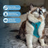 Best Pet Supplies Voyager Step-in Lock Adjustable Cat Harness with Leash Combo Set, Turquoise, XXS, 5ft Neoprene Handle