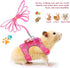 SATINIOR 2 Pieces Small Hamster Harness and Leash Set, Ferret Guinea Pig Clothes with Bowknot, Padded Vest, S, Blue,