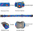 Elegant little tail Dog Collar, Blue Dinosaurs Pattern Pet Collar Durable Cute Dog Collars Male or Female Pet Gift Adjustable Dog Collar for Medium Dogs