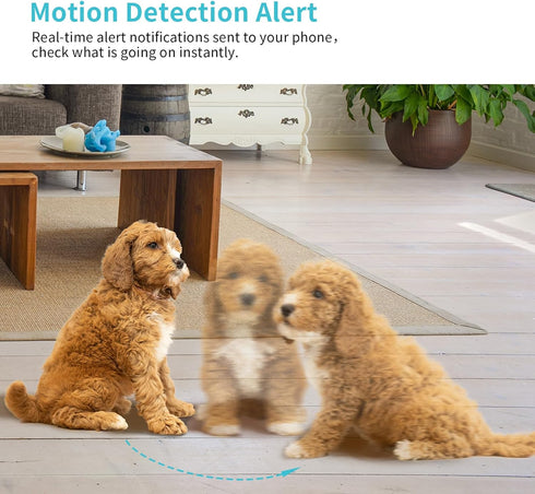 Pet Camera, 2K HD Dog Camera with Phone APP, 360° Pan/Tilt View, Night Vision, Motion Tracking Alarm