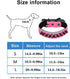 Adjustable Genuine Leather Spiked Studded Dog Collars for Small Medium Large Pets, Black (M)