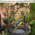 SunGrow Bird Ladder Bridge, 31x4 Inches, Raw Wood and Edible Dye, Suitable for Small to Medium Birds