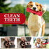 Dog Squeaky Toys for Aggressive Chewers - Durable Natural Rubber Chew Toys for Large Medium Breed Dogs