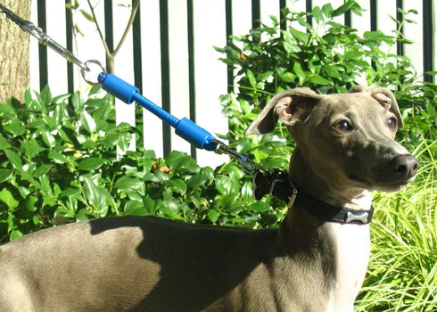 BUNGEE DOG LEASH EXTENSION – Patented Shock Absorber Attachment for Any Leash & Collar or Harness