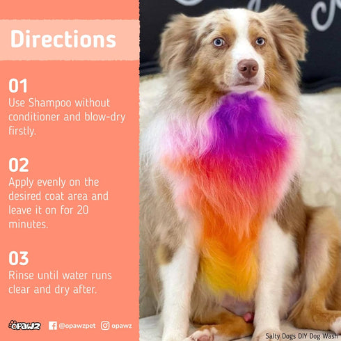 OPAWZ Semi-Permanent Dog Hair Dye, Food-Grade Non-Toxic Pet Hair Dye for Dogs, Cats, and All Pets (Flash Yellow)