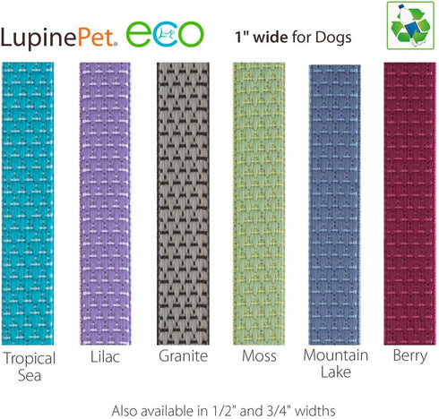 Martingale Dog Collar by Lupine ECO Collection, 1" Wide, Berry, Adjusts 15" to 22"