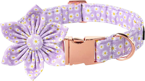Lionet Paws Spring Female Dog Collar, Soft Adjustable Daisy Collar for Large Dogs, Neck 16-24 inches