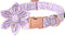 Lionet Paws Spring Female Dog Collar, Soft Adjustable Daisy Collar for Large Dogs, Neck 16-24 inches