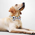 KUDES 2 Pack Print Dog Collars with Bow Tie, Adjustable Collars with Bells and Charm Safety Buckle for