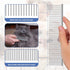 Dog Rake for Undercoat Long Tooth Dogs Comb, Grooming Tool Set for Big Dog Horse Longhair Cat