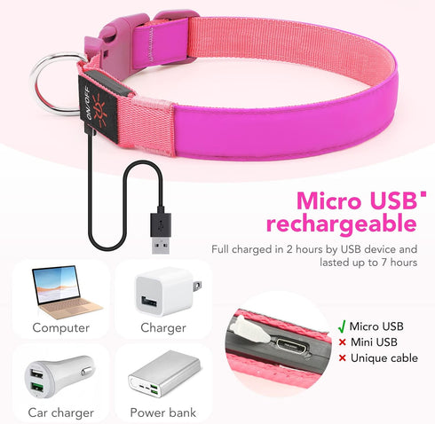 LED Dog Collar Light - USB Rechargeable, Adjustable Size, Heavy Duty Glow Safety Collar for Medium Dogs